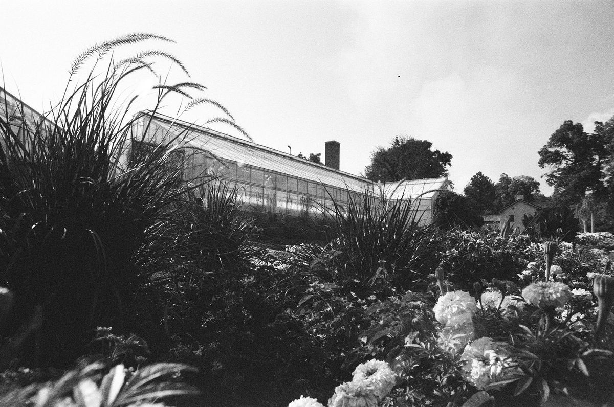 Acme Horst 100