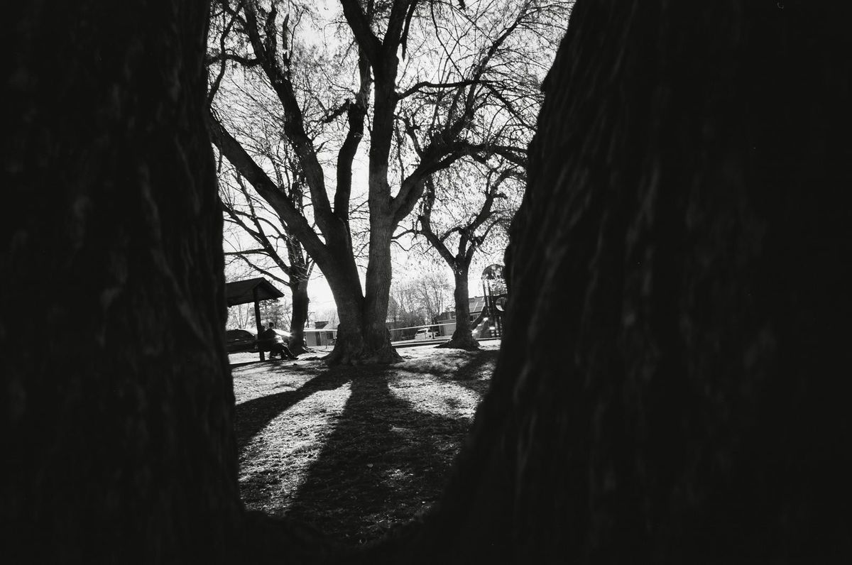 Fujifilm Acros II