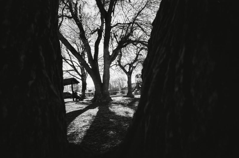 Fujifilm Acros II