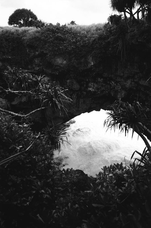 Fujifilm Acros II