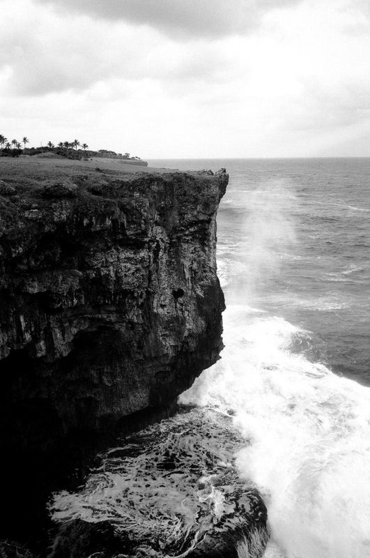 Fujifilm Acros II
