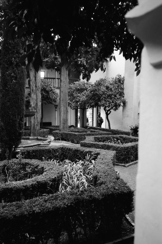 Fujifilm Acros II