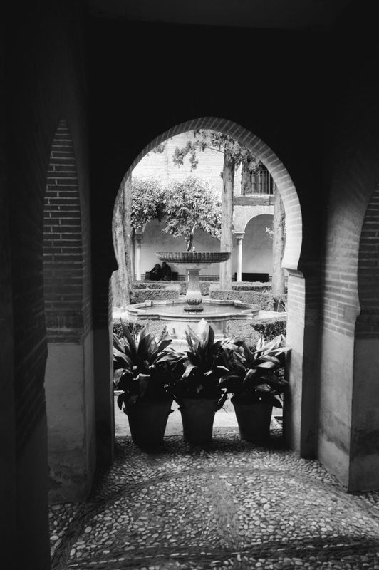 Fujifilm Acros II