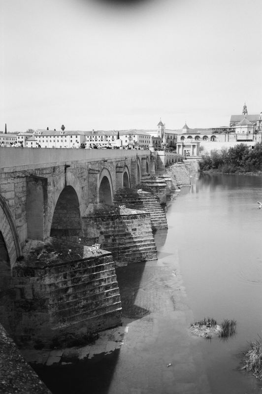 Fujifilm Acros II