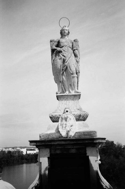 Fujifilm Acros II