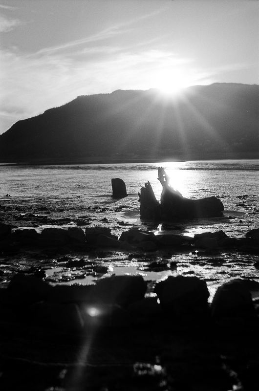 Fujifilm Acros II