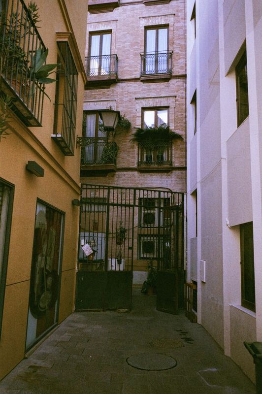 Agfa 200 Expired