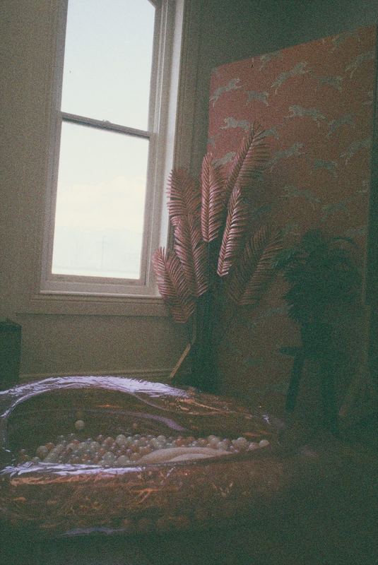 AgfaChrome 1000 Expired