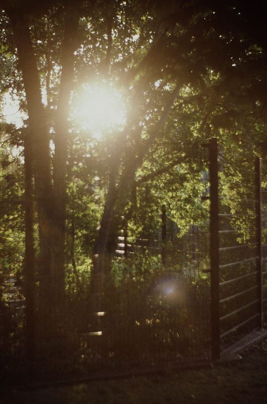 Agfa RS 100