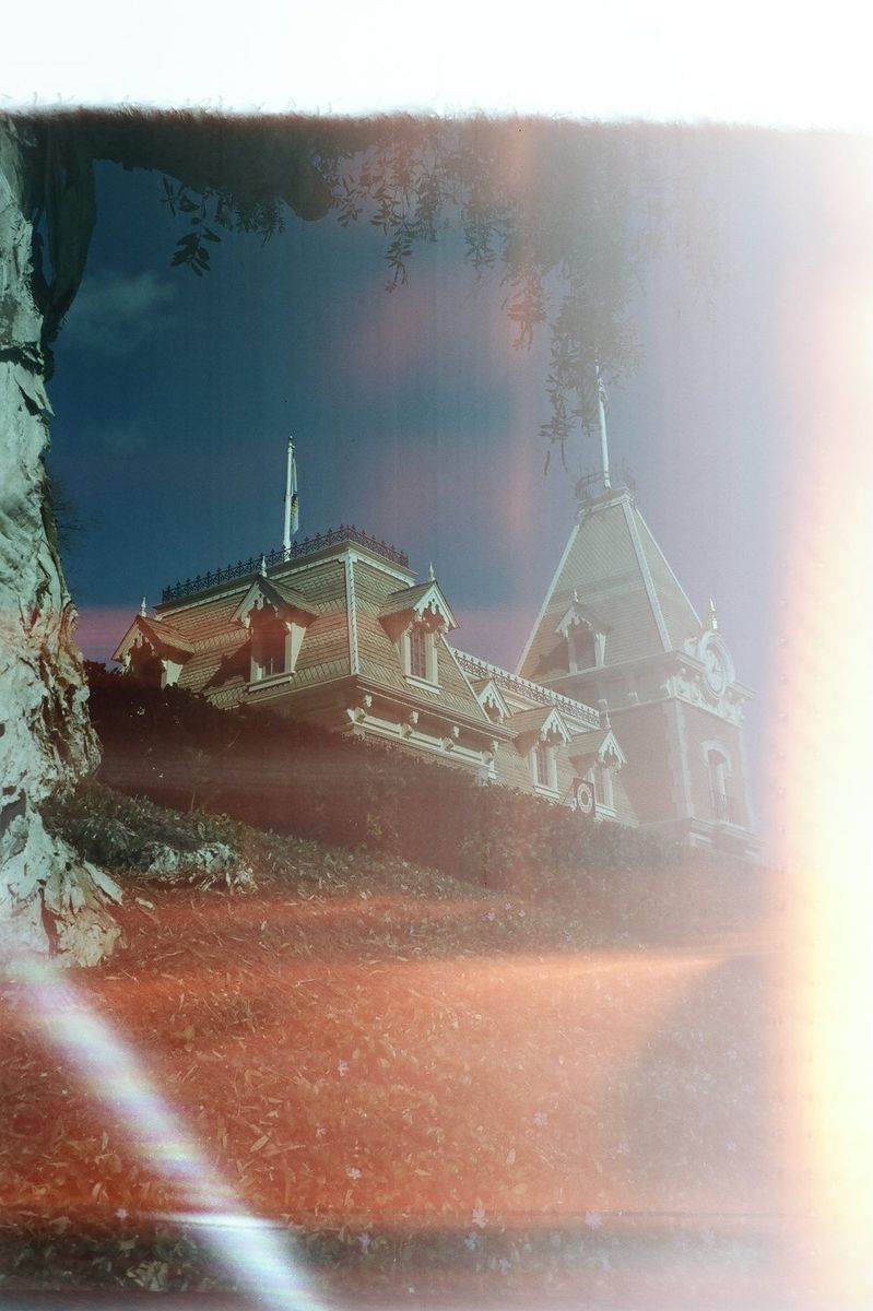 Amber 50