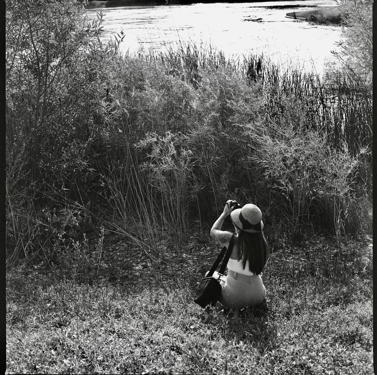 Agfa APX 100 Expired