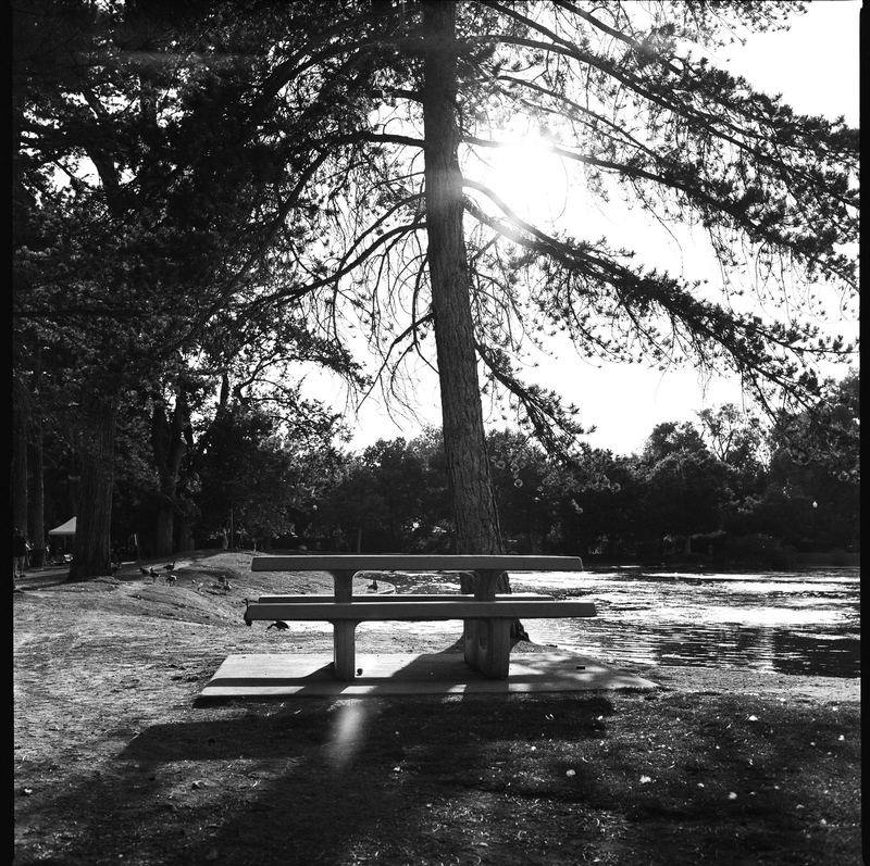 Agfa APX 100 Expired