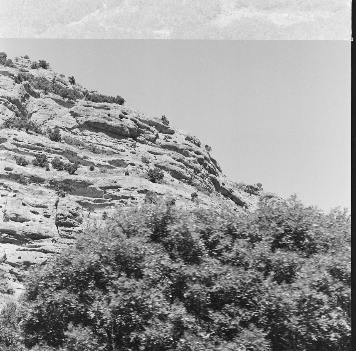 Arista 100
