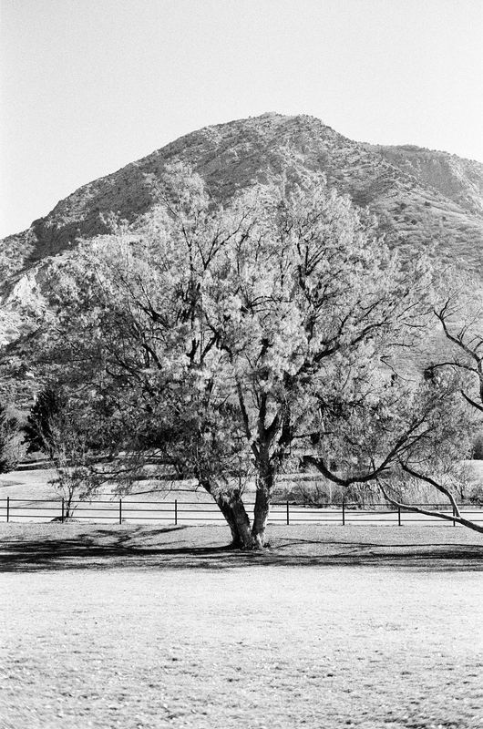 CDX Film 250