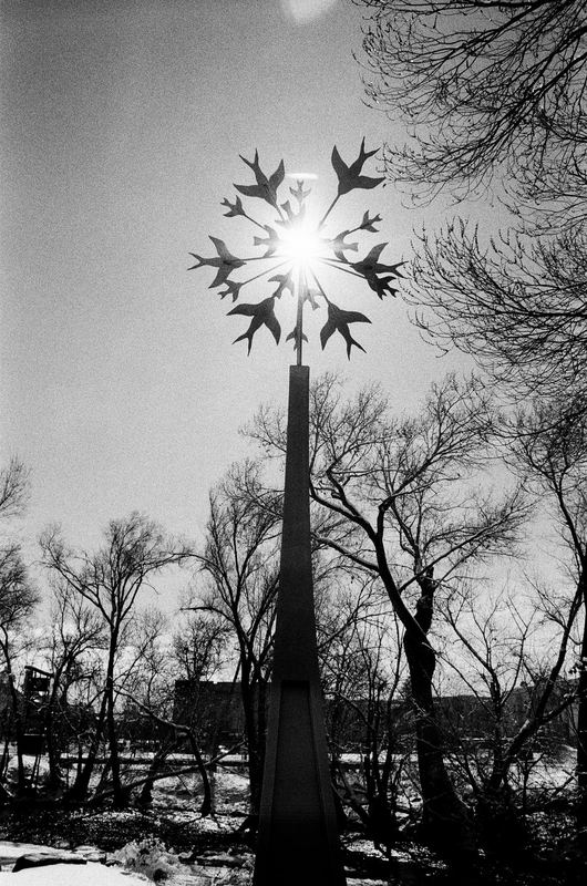 CDX Film 250