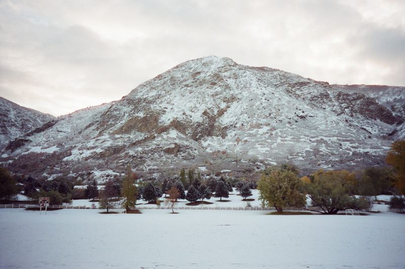 CineStill 400D
