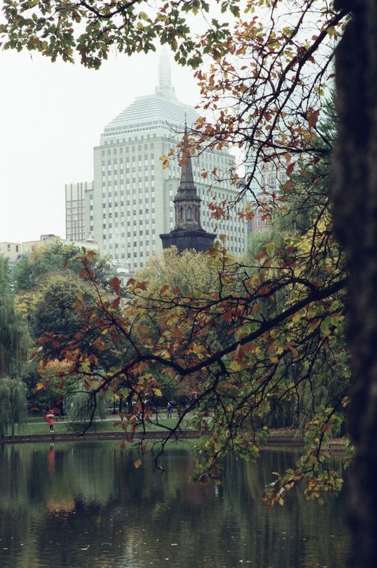 CineStill 400D