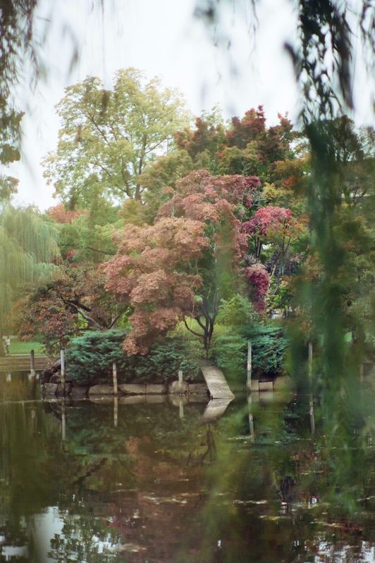 CineStill 400D