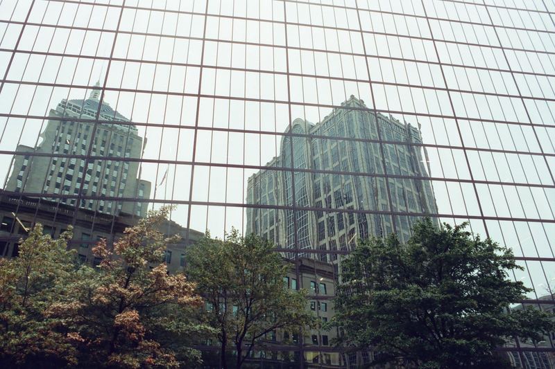 CineStill 400D