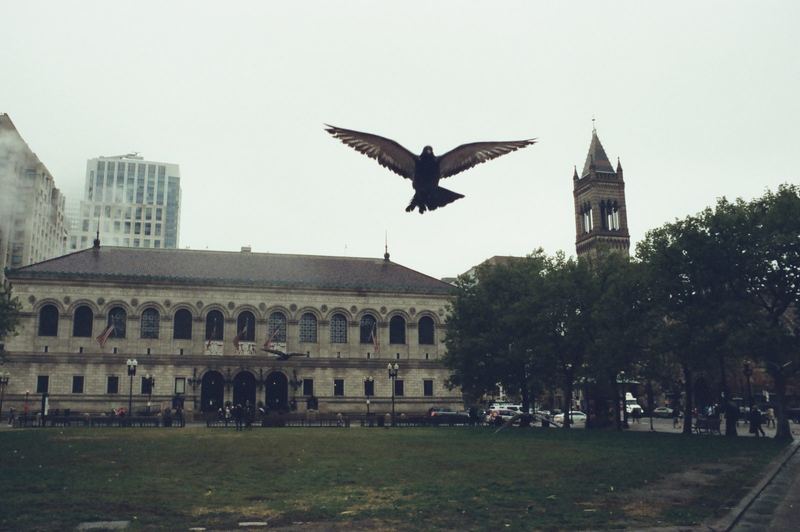 CineStill 400D