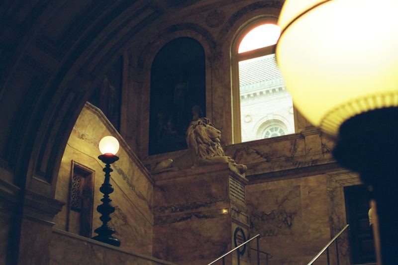 CineStill 400D