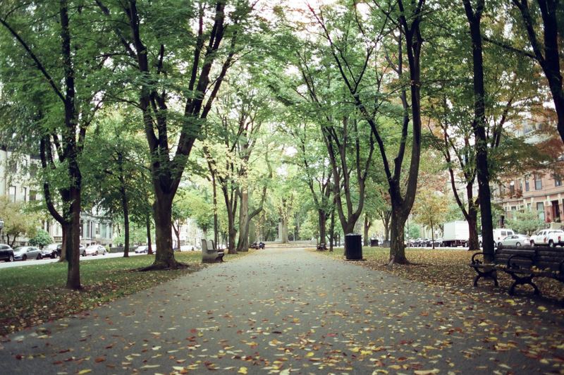 CineStill 400D