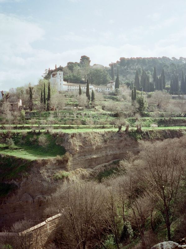 CineStill 400D