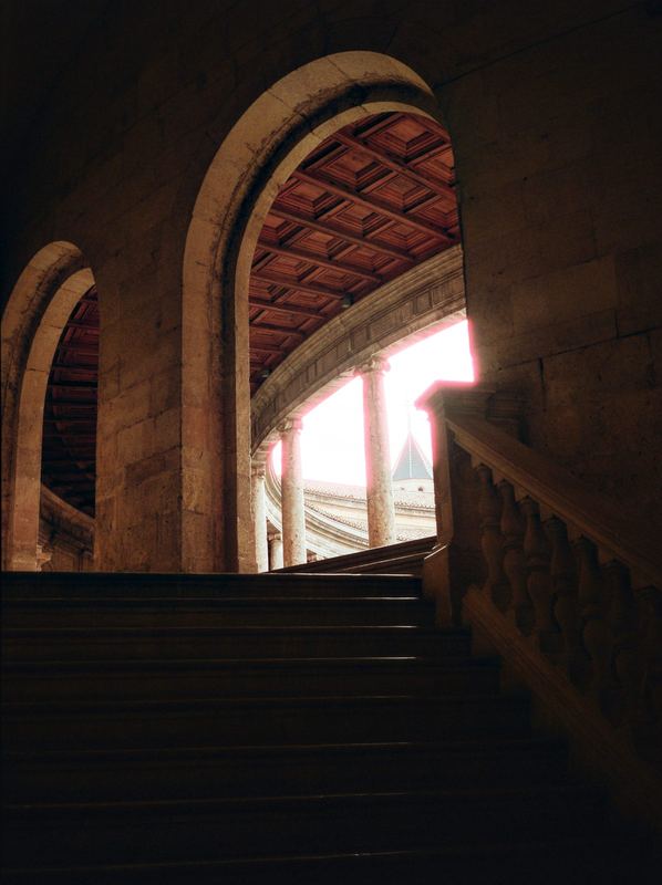 CineStill 400D