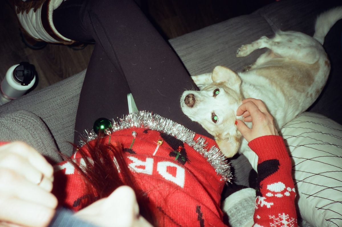 CineStill 50D