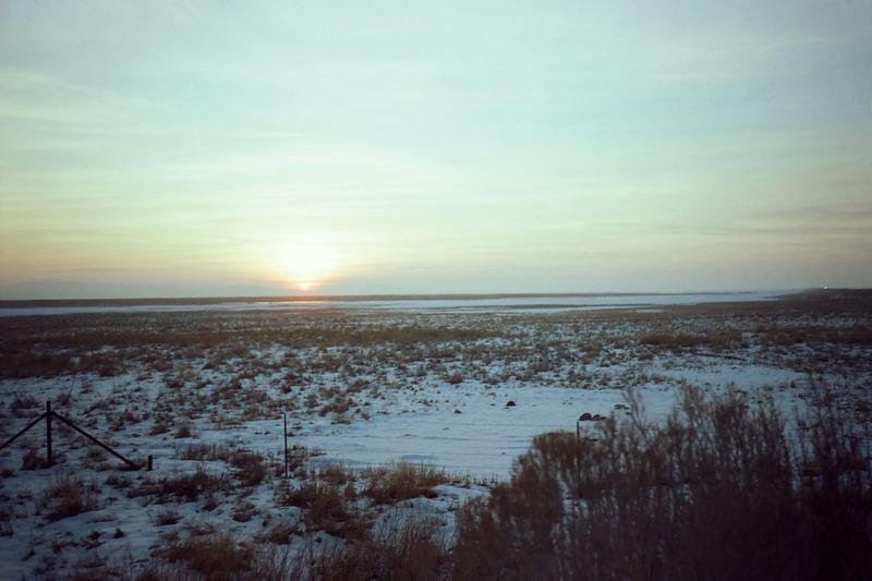 CineStill 50D