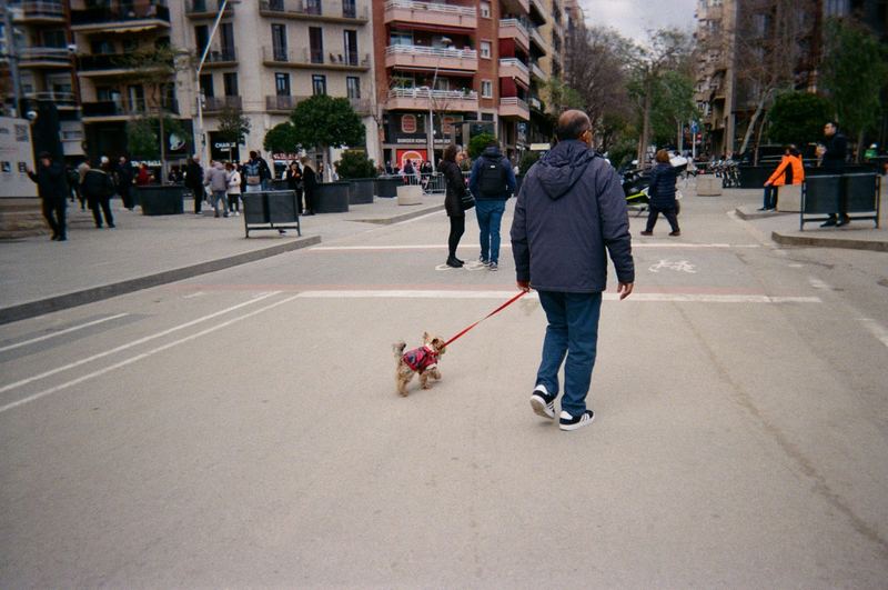 Essential Disposable