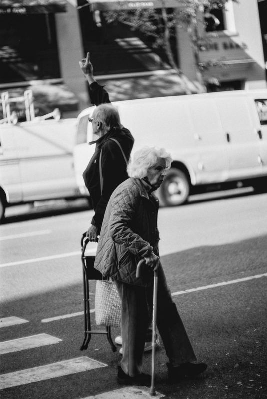 Fomapan 100 Limited