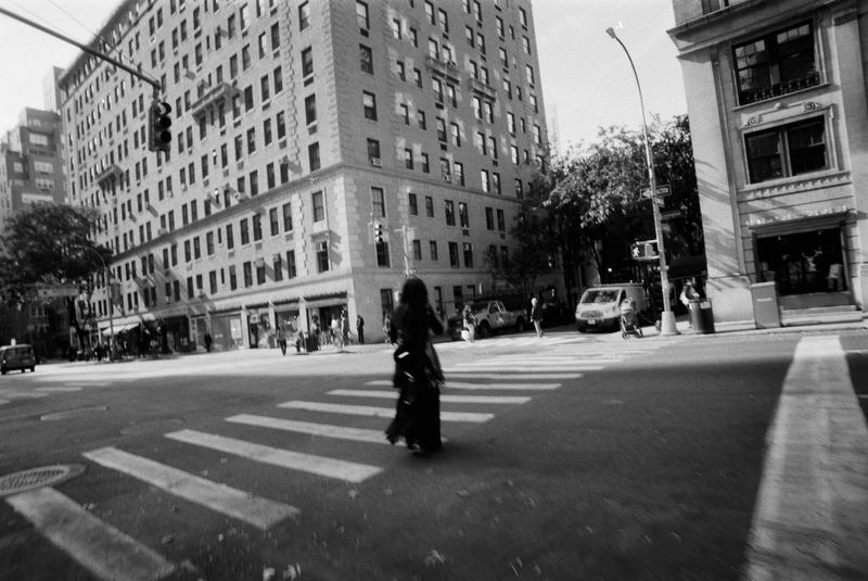 Fomapan 100 Limited