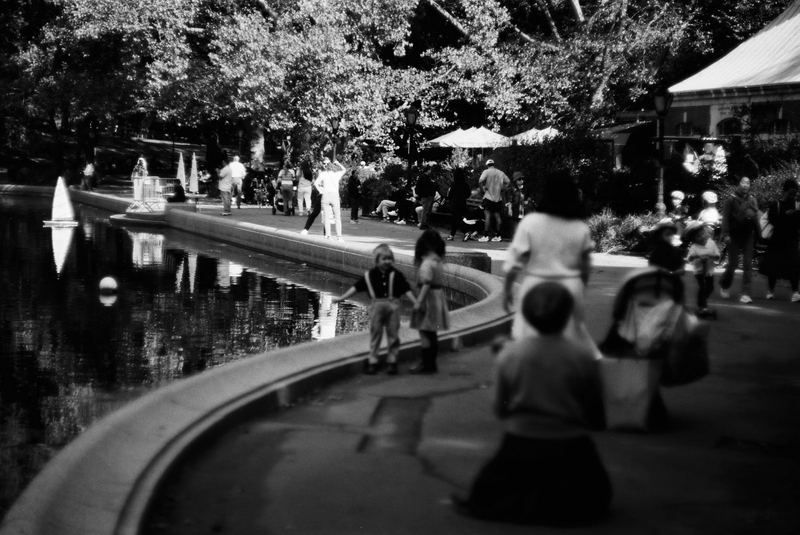 Fomapan 100 Limited