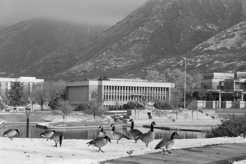 Ilford FP4