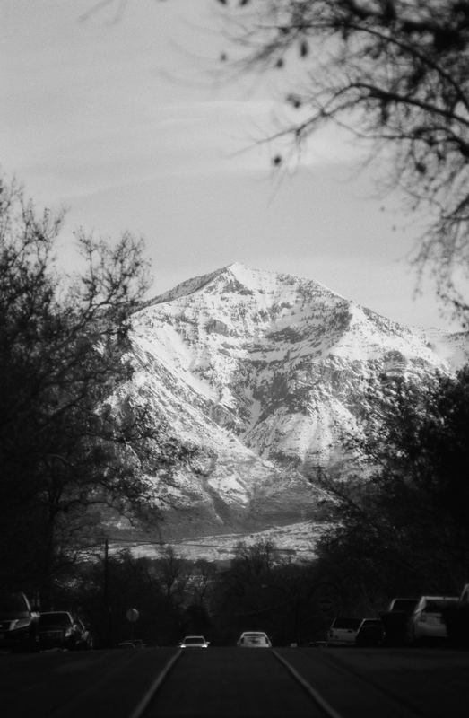 Ilford FP4