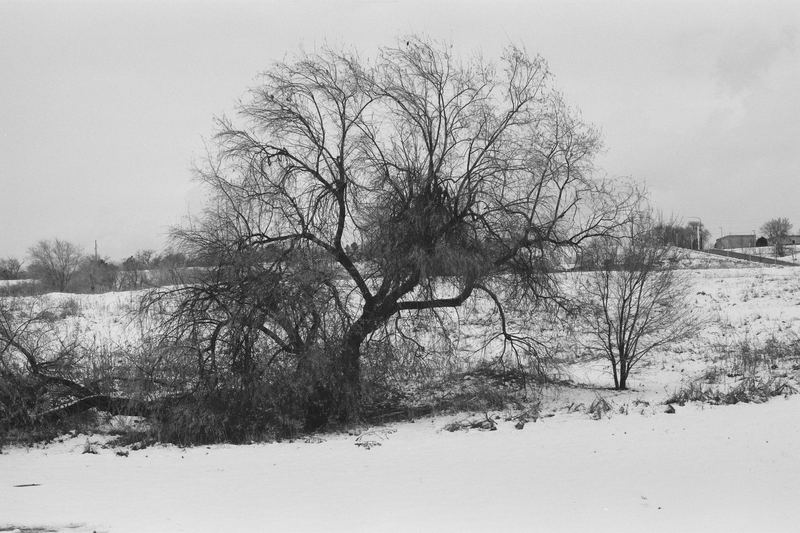Ilford FP4