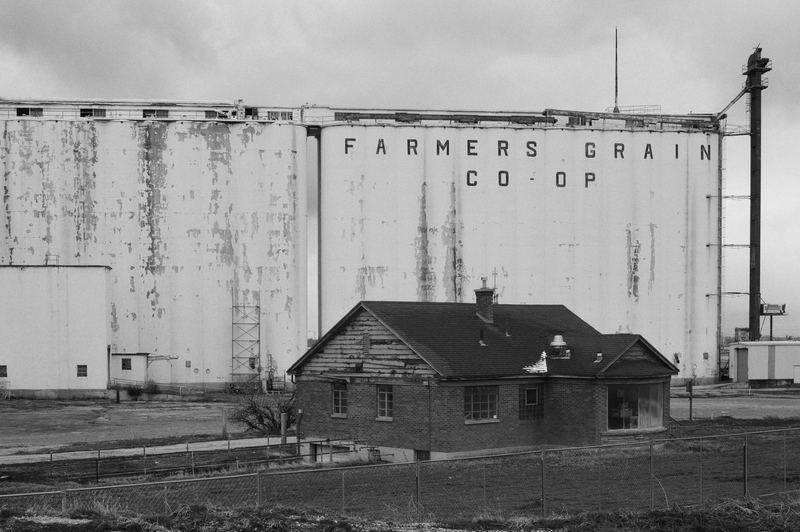 Ilford FP4