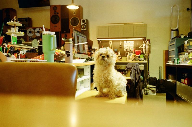Fujifilm 200
