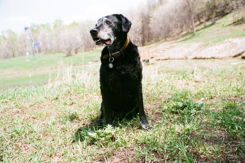 Fujifilm 400
