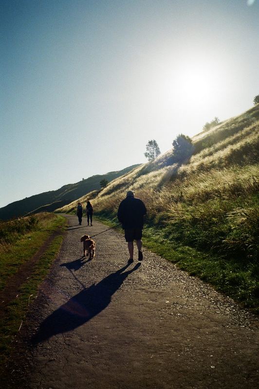 Fujifilm 400