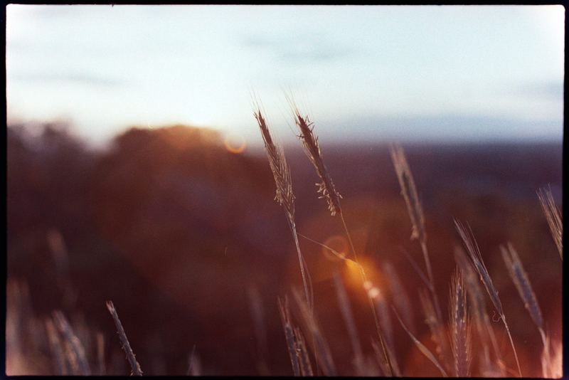 Fujifilm 400