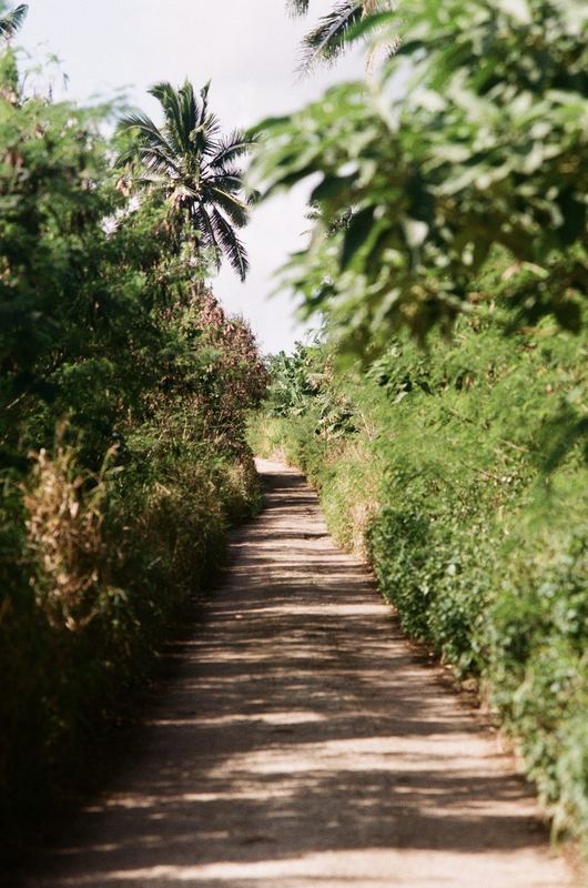 Fujicolor 100