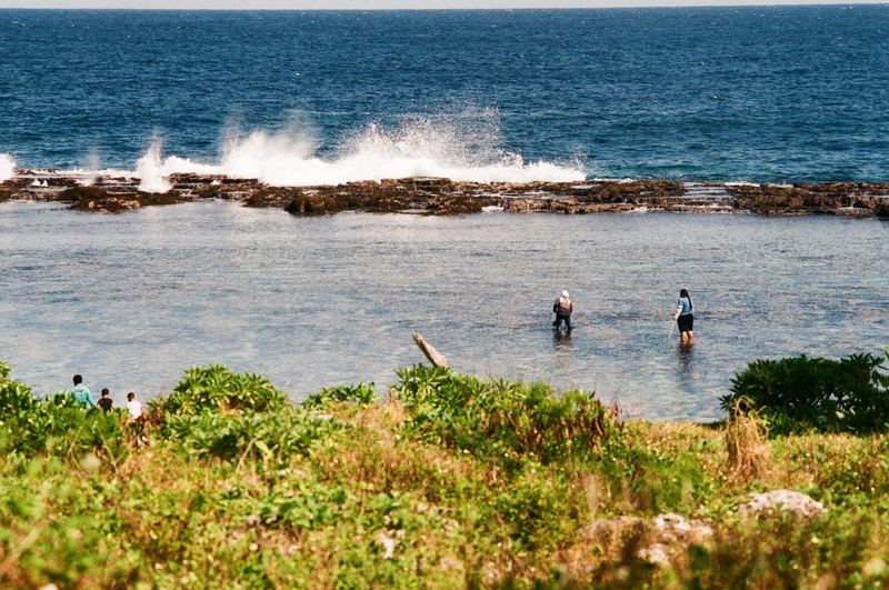 Fujicolor 100