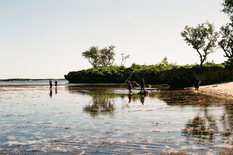 Fujicolor 100