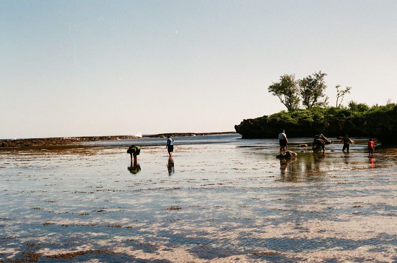 Fujicolor 100