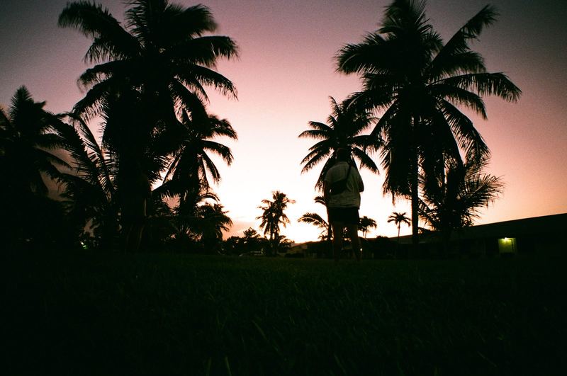 Fujicolor 100