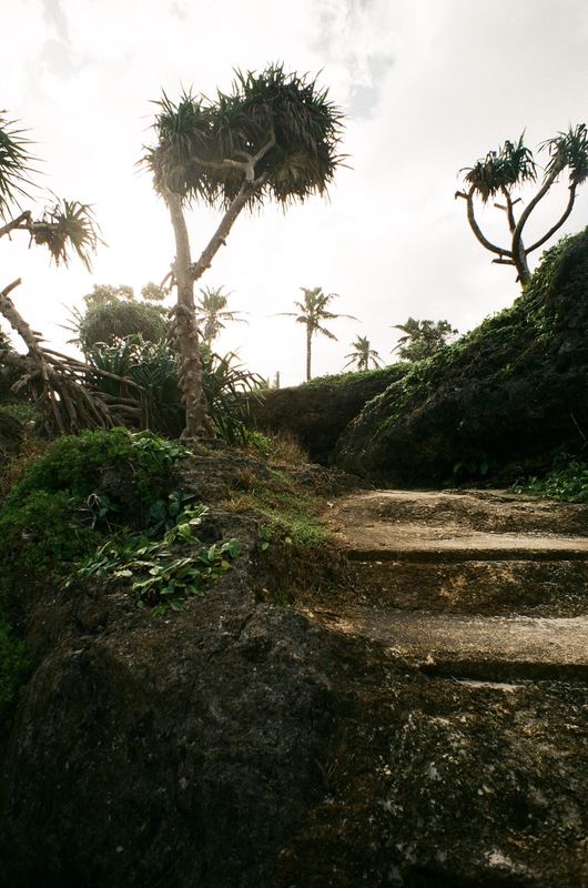 Fujicolor 100