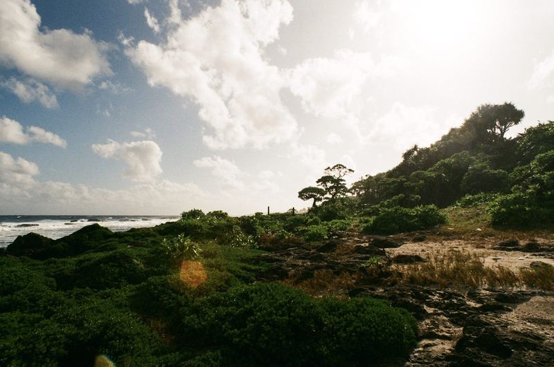 Fujicolor 100