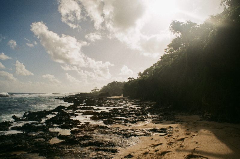 Fujicolor 100